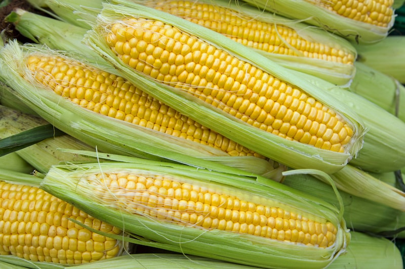 Sweet Corn, Grade B