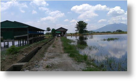 Capulong Farms
